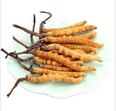 Rare Wild Cordyceps Sinensis Dong Chong Xia Cao Chinese Caterpillar Fungus 777 Ebay