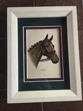 C Fred Sitzler horse picture