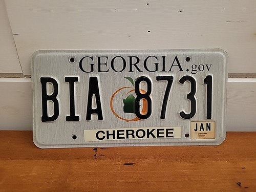 2010 Georgia License Plate with the Peach -- BIA 8731