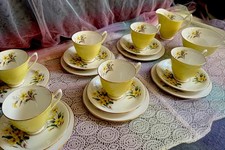 royal albert yellow primrose 19 piece tea / Coffee set bone china England