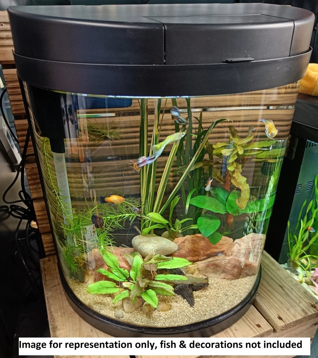 Interpet aquarium 2025