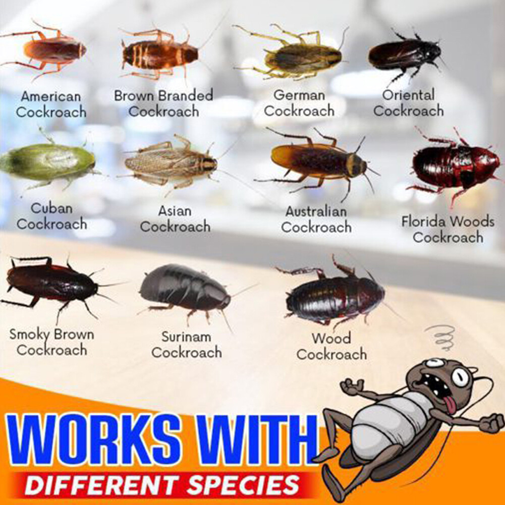 Roach Infesting Cockroach Gel Bait Effectively Roach Killer Indoor Infestation for Home ...