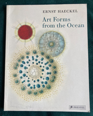 Art Forms from the Ocean by Ernst Haeckel