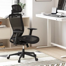 FLEXISPOT Ergonomic Office Desk Chair Ergonomic Swivel Mesh Chair Lumbar Support