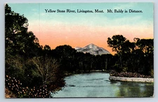 Vintage Postcard Livingston MT Yellow Stone River Mt. Baldy Scenic I10