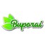 buporai Well