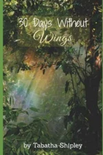 30 Days Without Wings, Shipley, Tabatha, Good Book