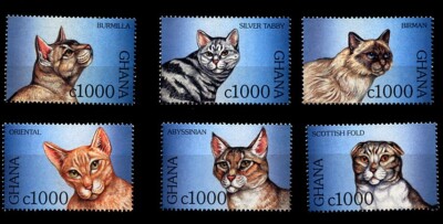 FELINE CAT BRIEFMARKENSATZ x 6 Kopfstudien 1997 postfrisch Birman Abyssinian Tabby