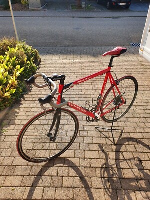 Pinarello Phos 7020, Rennrad, Rahmengröße XL