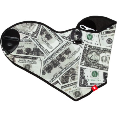 NEW Airhole Standard Snowboard Face Mask - Money -  Hook n Loop Fleece Ski