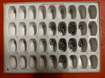 Molar Kronen Kit Set / KFO Bögen / KFO Stangen Set Zahn Medizin Dental Crown #1