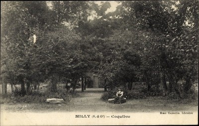 Ak Milly la Forêt Essonne, Coquibre - 2953557