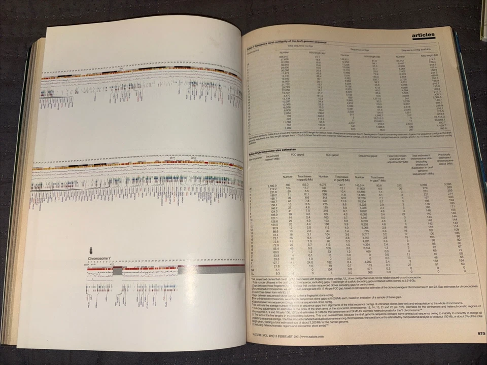 *RARE* Nature  Magazine Human Genome w/ Foldout February 2001 Vol 409 Issue 6822 - Image 3 of 4