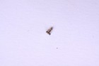 Bild 8 von 25