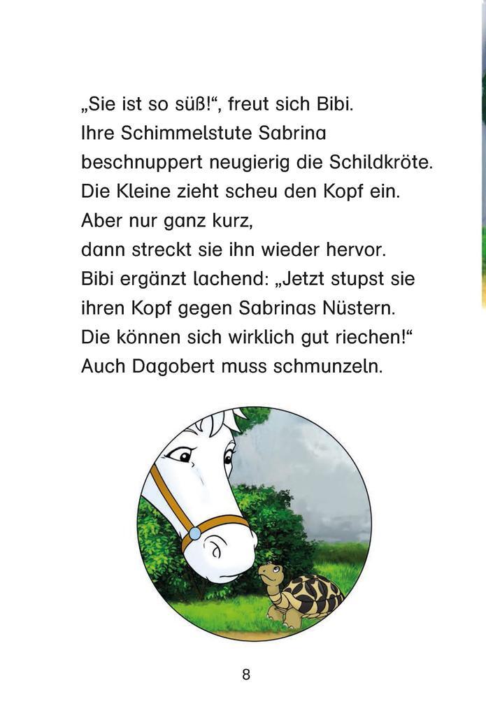 Thumbnail - Bibi & Tina: Eine Schildkröte Kommt Selten Allein | Matthias Von