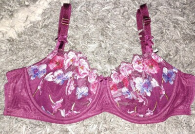 VS dream angel wicked push up embroidered floral bra new 36c kir multi