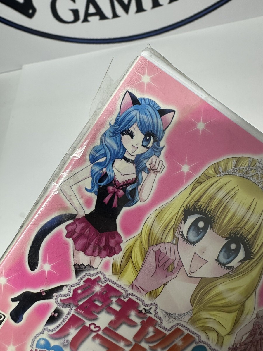 New Nintendo 3DS Hime Gal Paradise Mechikawa Agemori Sensation