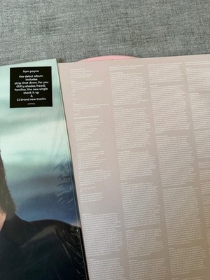 LP1 - Liam Payne - PINK Coloured Vinyl -- **RARE** NEW | eBay
