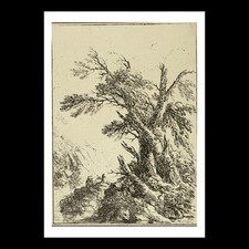Henry Richard Greville, 3rd Earl of Warwick and Brooke - Landscape with Old Tree