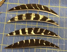 5 Right Wing Banana Natural Barred Feather Fl...