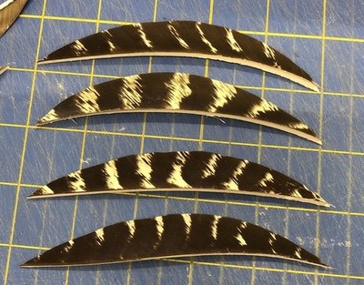 5'' Right Wing Banana Natural Barred Feather Fletching, 25Pk Archery  