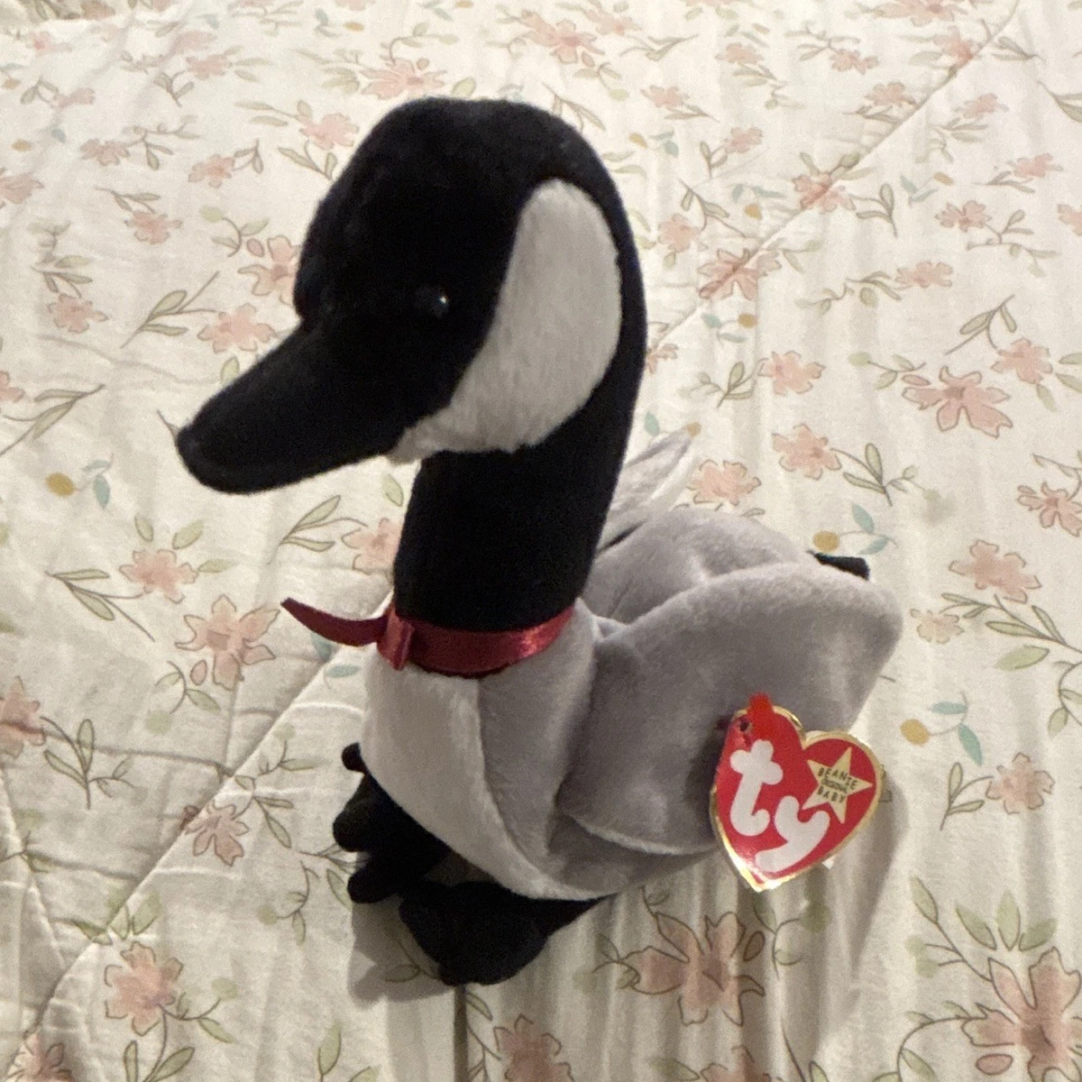 Loosy Beanie Baby for sale - eBay