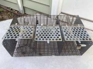 Metal Sparrow Bird Trap - Cage Trap Bird Live