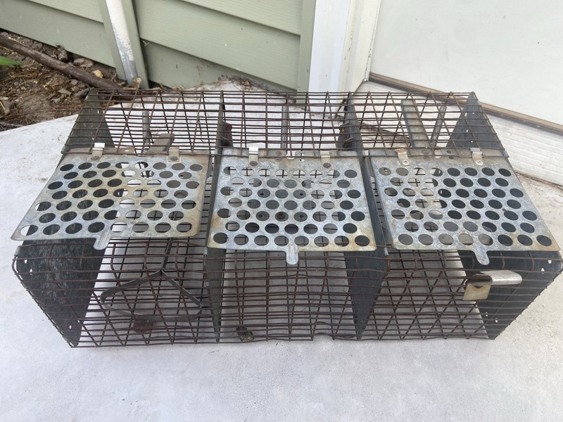 Metal Sparrow Bird Trap - Cage Trap Bird Live