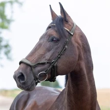 HORZE Stewart Anatomical Bridle - Pony - Dark Brown Leather - Reins NOT Included