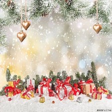 10'x10' Computer-painted Gifts Winter Season Scenic background backdrop BHF1770