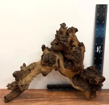 Medium Size Mopani Driftwood for aquarium Very Nice Piece
