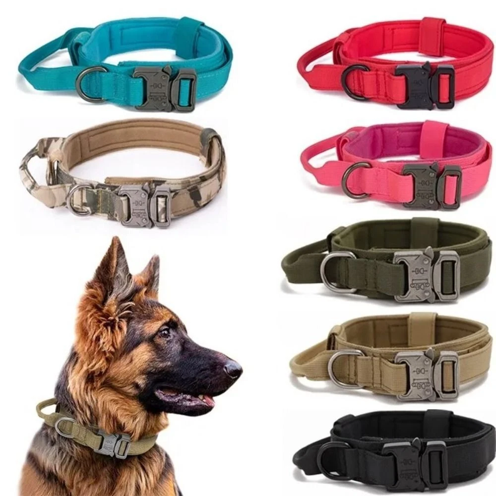 Outdoor dog clearance collars