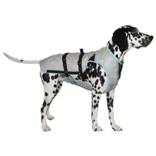 Dry Cooling Vest for Dogs by Suitical Free & Next Day Delivery Options