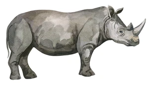 Rhinoceros Rhino Self Adhesive Vinyl Sticker