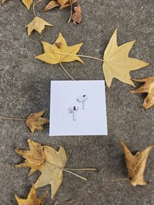 Apple Headphones Pro(2nd Generation)Bluetooth Headsets Right&.Left+Charging Box