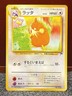 Pokémon Southern Islands Set {{{ Raticate }}} No. 020~Promo~L@@K