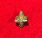 GREAT CIVIL WAR ERA CALTROP FOUND NEAR GETTYSBURG