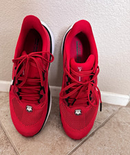 Nike Air Zoom Pegasus 41 Georgia Red Men s Lo...