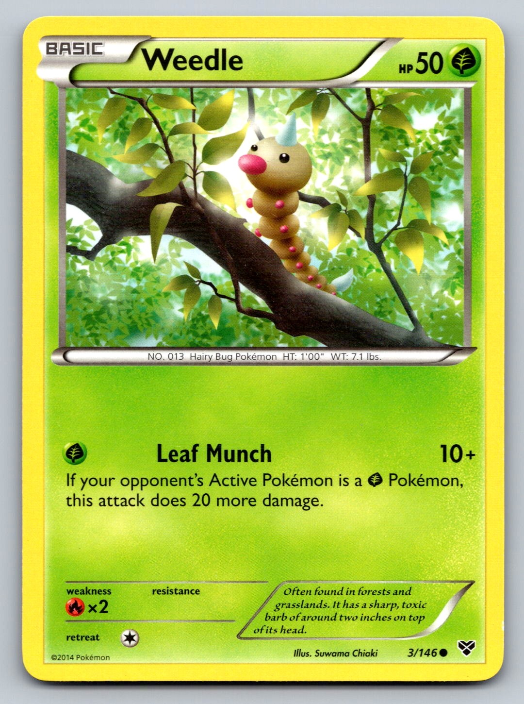 Pokemon Weedle Common XY Base Set 3/146 NM