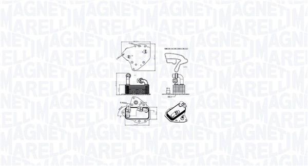 1X Magneti Marelli 350300000600 ÖLküHler MotoröL FüR Alfa Romeo Chrysler Lancia-image