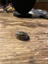 Sz. 6/7 Multi Gem Stone Sterling Silver Ring