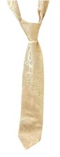 Vesuvio Napoli NeckTie GOLD Color Paisley Design Mens Neck Tie