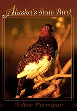 Alaska's State Bird Willow Ptarmigan Alaska Postcard