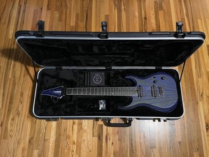 jackson dinky case