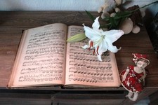 20 sehr alte Notenblätter Notenschrift Baste...