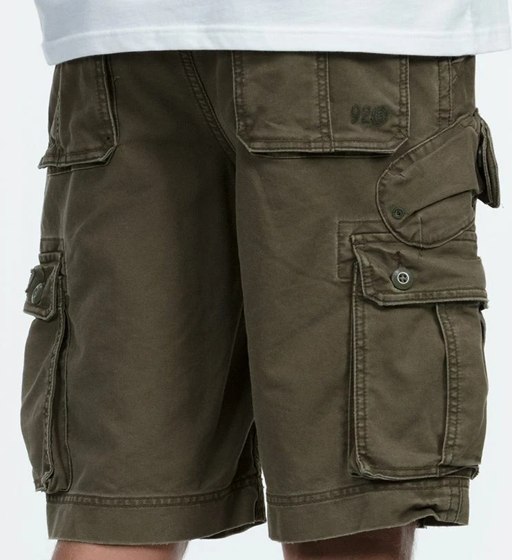 Element source cargo best sale shorts