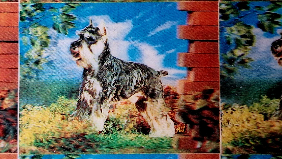 United Arab Emirates 1960's PROOF Umm Al Qiwain Corner Block Dogs 9 Stamps - Image 2 of 4