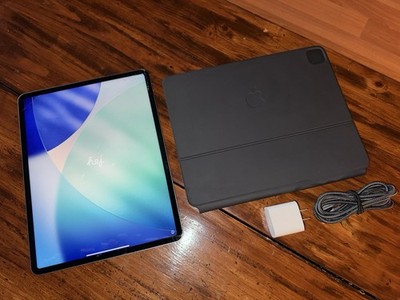 Apple iPad Pro 12.9  Wi-Fi Cellular 5G Unlocked 256 GB M3 Gray A2764 See Details