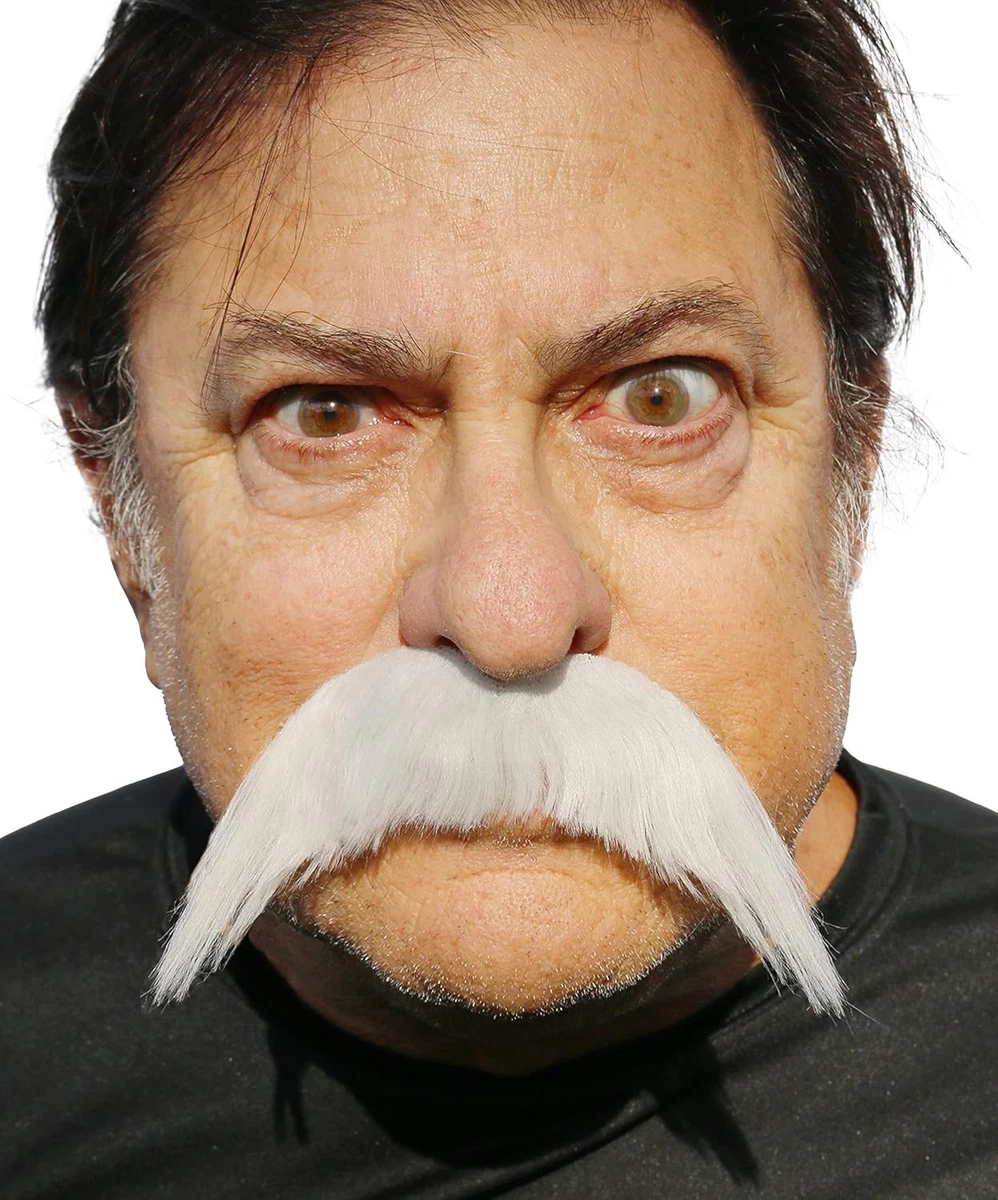 fancy dress grey moustache Squadron Leader Tash Grey Moustache Facial Hair Mens Fancy Dress for sale online