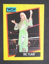 1991 IMPEL WCW Wrestling Ric Flair #45